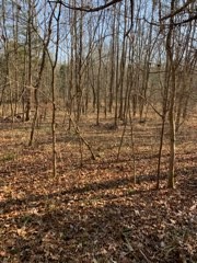 0 Joe Yarbro Road Bath Springs, TN 38311 - Photo 28 of 32 Gallery Image 28