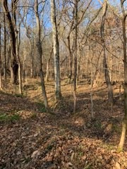 0 Joe Yarbro Road Bath Springs, TN 38311 - Photo 29 of 32 Gallery Image 29