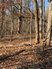 0 Joe Yarbro Road Bath Springs, TN 38311 - Photo 32 of 32 Gallery Image 32
