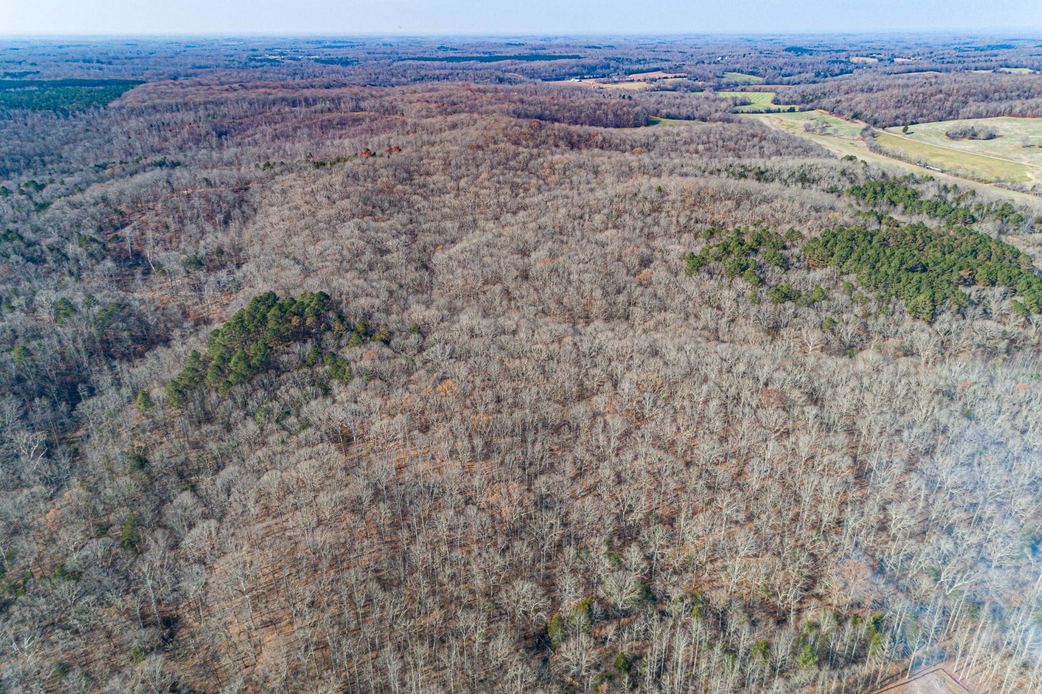 0 Joe Yarbro Road Bath Springs, TN 38311 - Photo 7 of 32 Gallery Image 7