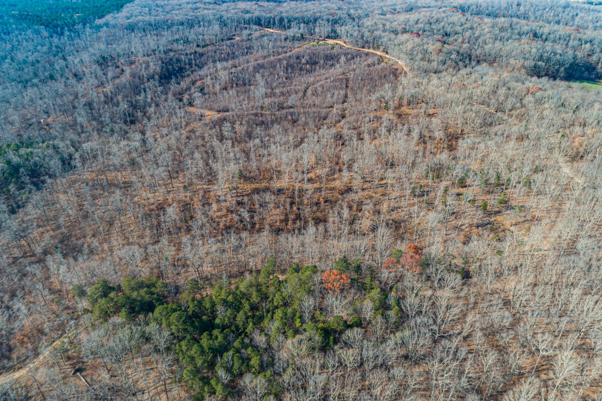 0 Joe Yarbro Road Bath Springs, TN 38311 - Photo 8 of 32 Gallery Image 8