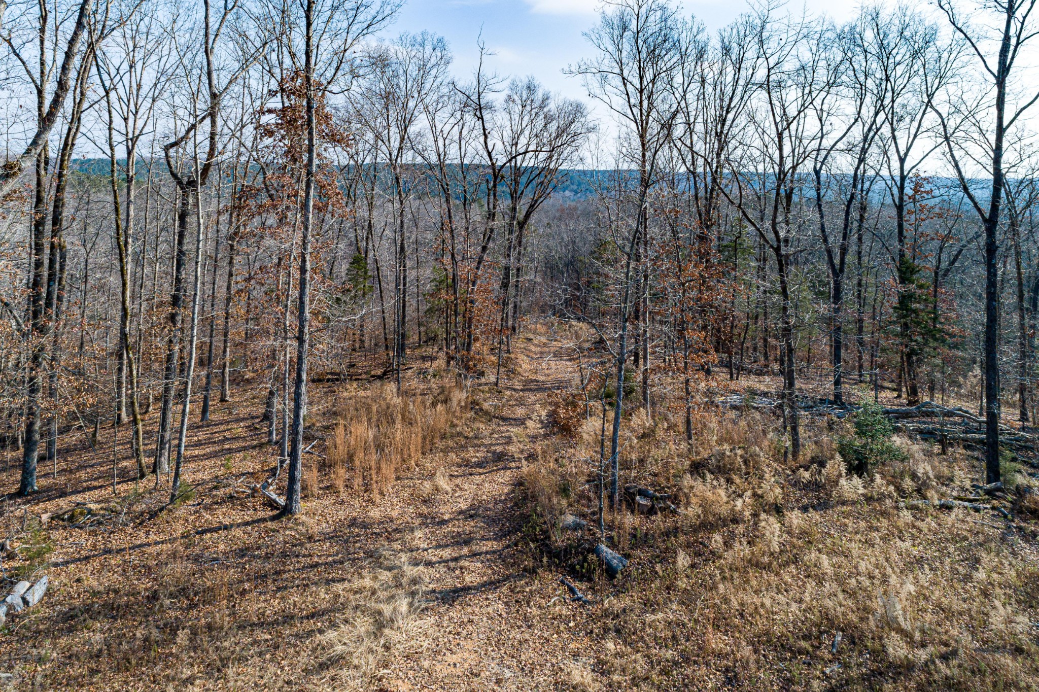 0 Joe Yarbro Road Bath Springs, TN 38311 - Photo 9 of 32 Gallery Image 9