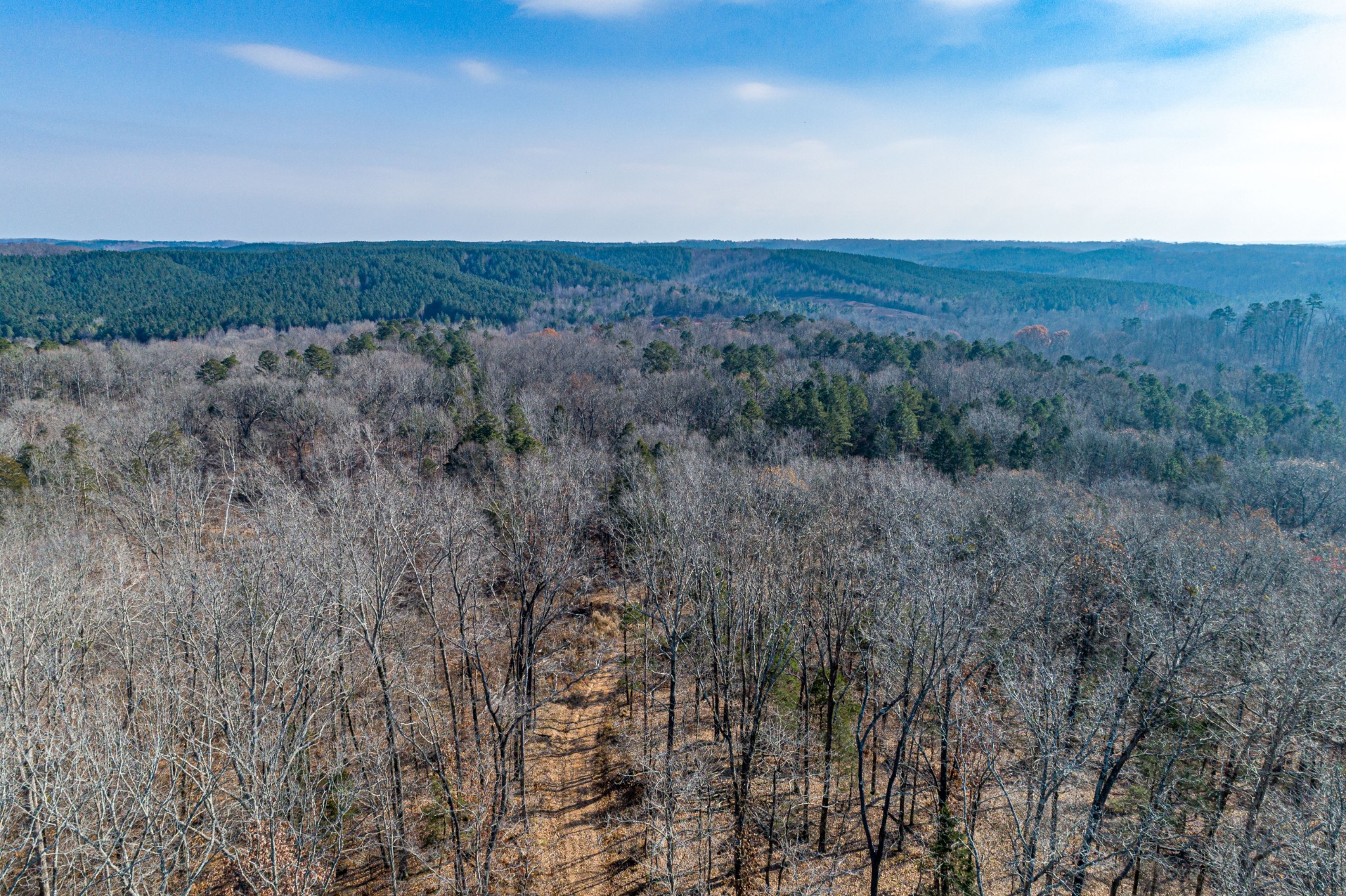 0 Joe Yarbro Road Bath Springs, TN 38311 - Photo 10 of 32 Gallery Image 10