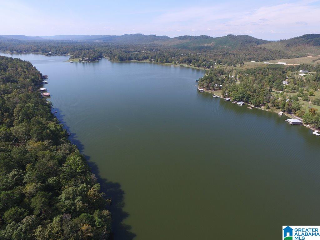 2253 Waldrop Road, Unit 2 Ashville, AL 35953 - Photo 3 of 10