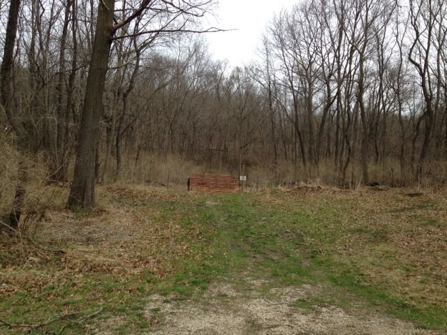 0 Grand Detour Road Dixon, IL 61021 - Photo 5 of 6 a backyard of a house with lots of green space