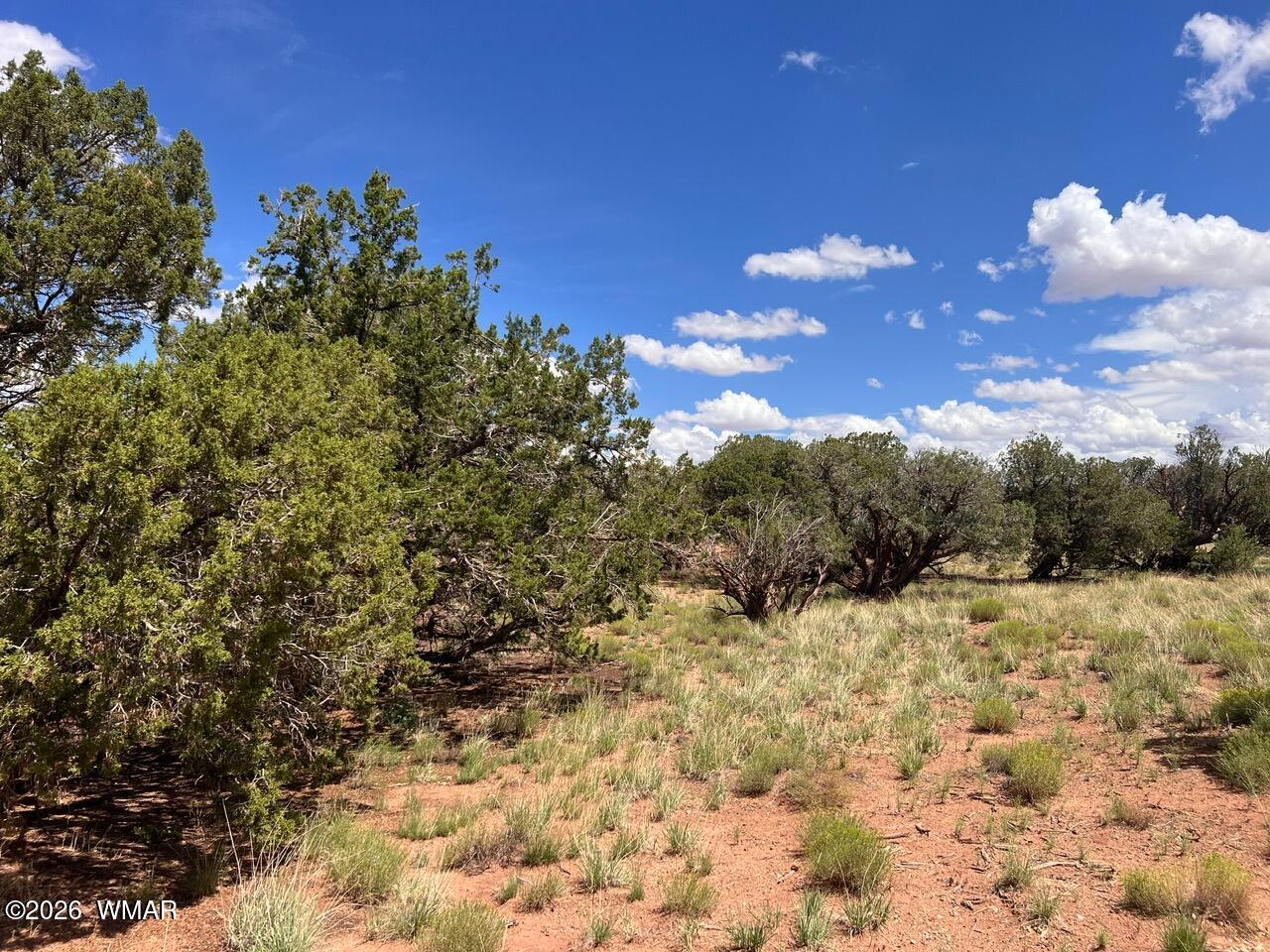 4289 Colt Road Snowflake, AZ 85937 - Photo 5 of 9 Gallery Image 5