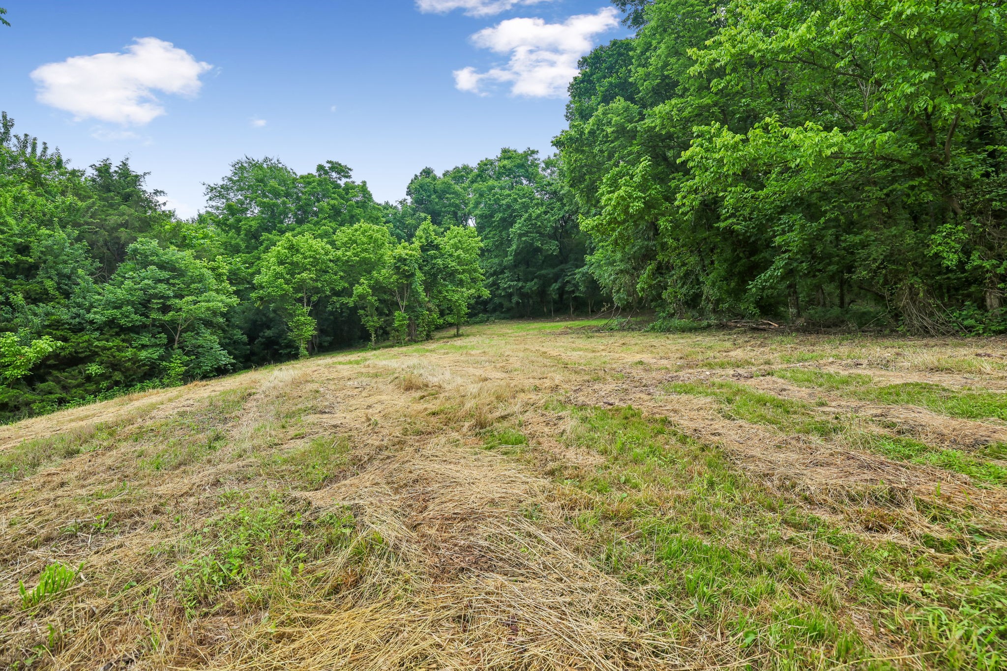 0 Hix Road Gordonsville, TN 38563 - Photo 15 of 37