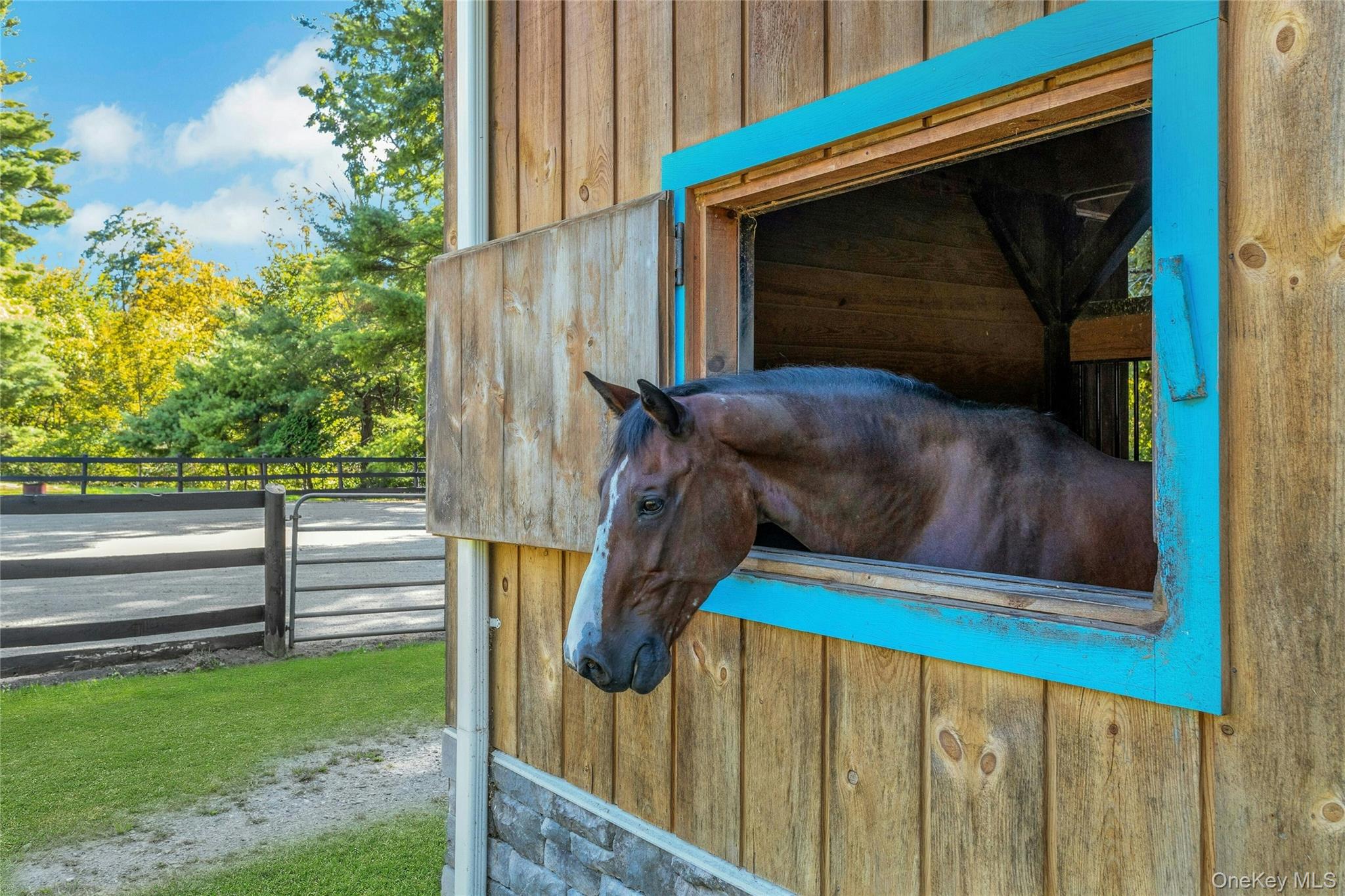 73 Lake Ellis Road Wingdale, NY 12594 - Photo 31 of 41 View of stable