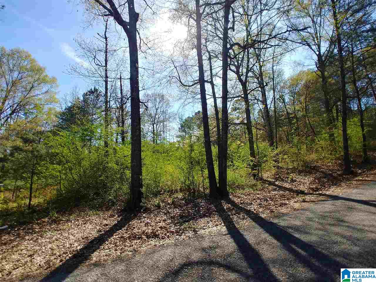 0 Roberts Mill Pond Road, Unit 1 39 Pell City, AL 35128 - Photo 25 of 29