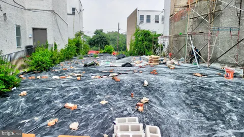 a view of tall trees and a small yard