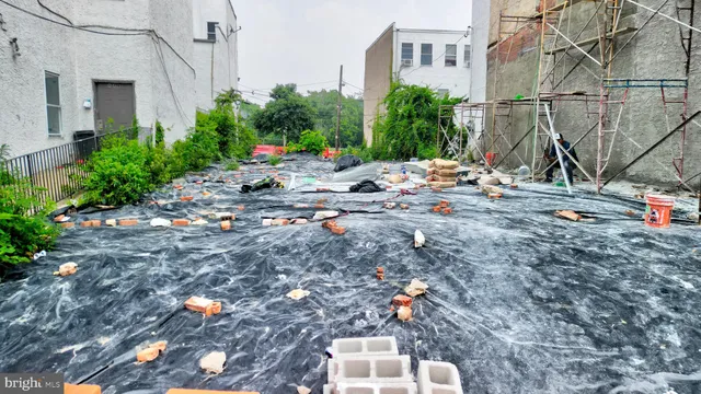 a view of tall trees and a small yard
