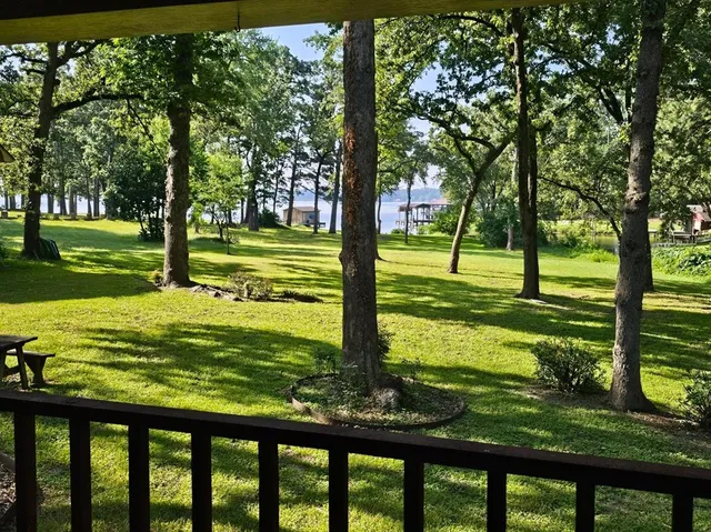 a view of a garden with an outdoor space