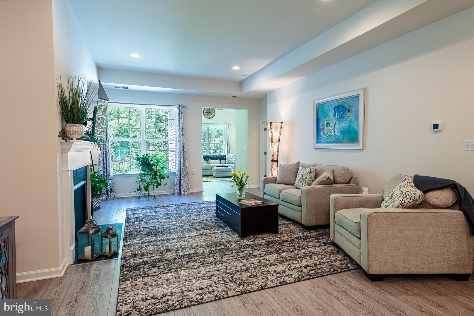 314 Tranquility Way Middletown, DE 19709 - Photo 19 of 56 a living room with furniture and a potted plant