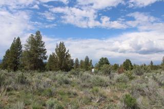 Deer Springs Road Beatty, OR 97621 - Photo 10 of 13 IMG_2563