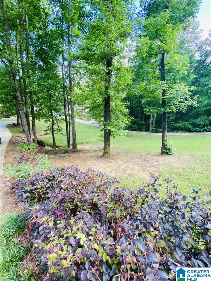 2720 Mt View Road Hayden, AL 35079 - Photo 25 of 28