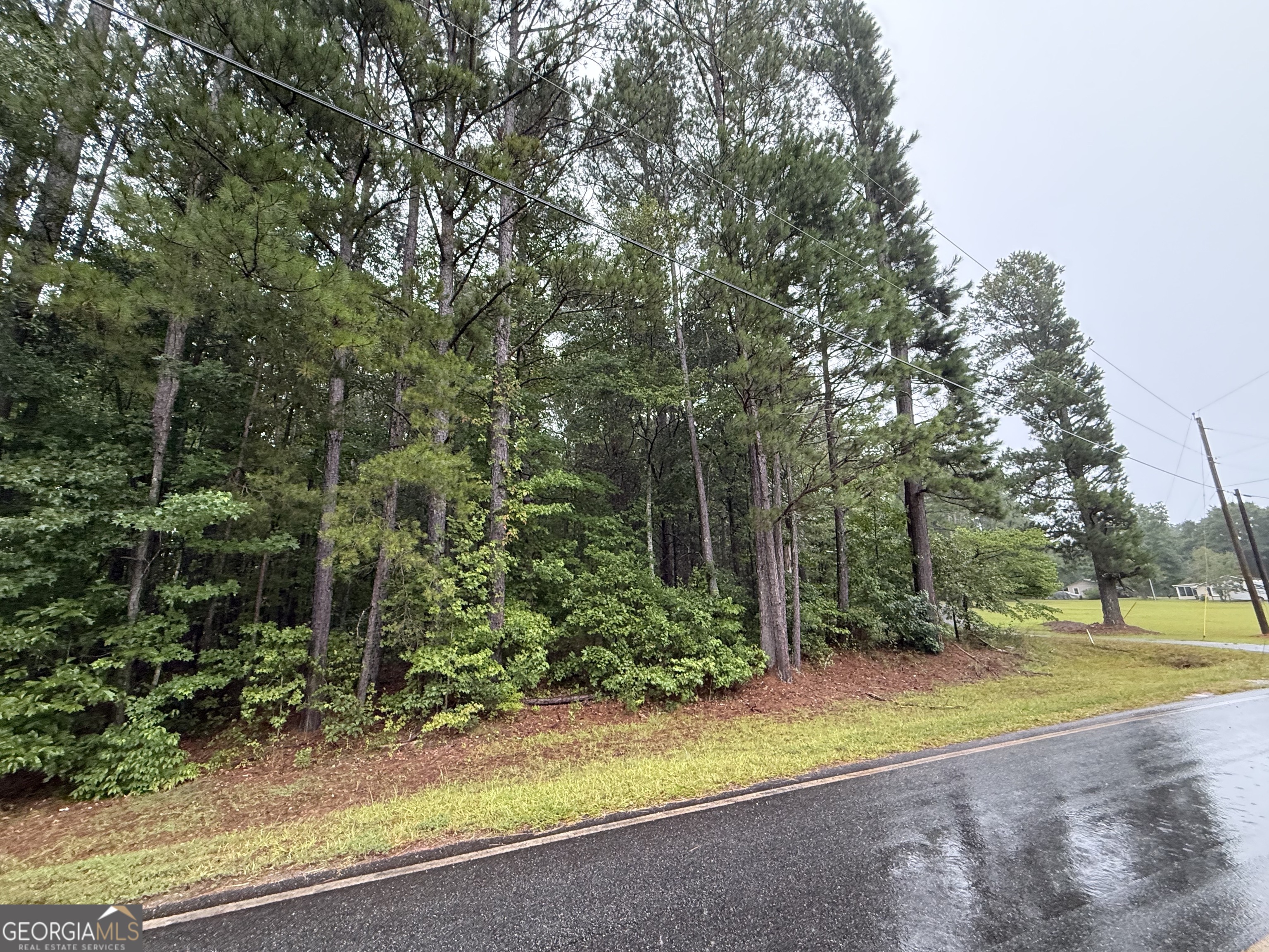 0 Lee Thompson Road Moreland, GA 30259 - Photo 1 of 2 Gallery Image 1