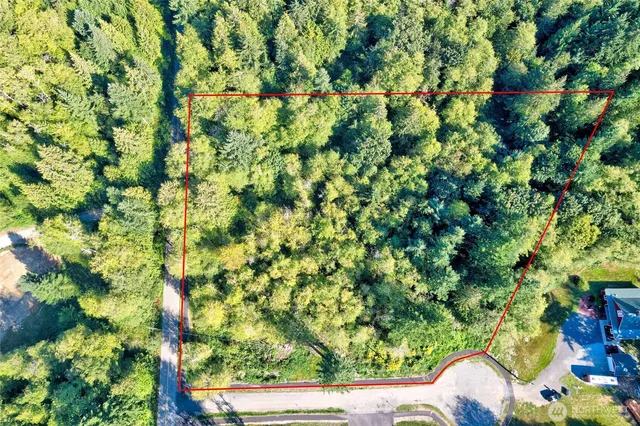 a view of a tree in a garden