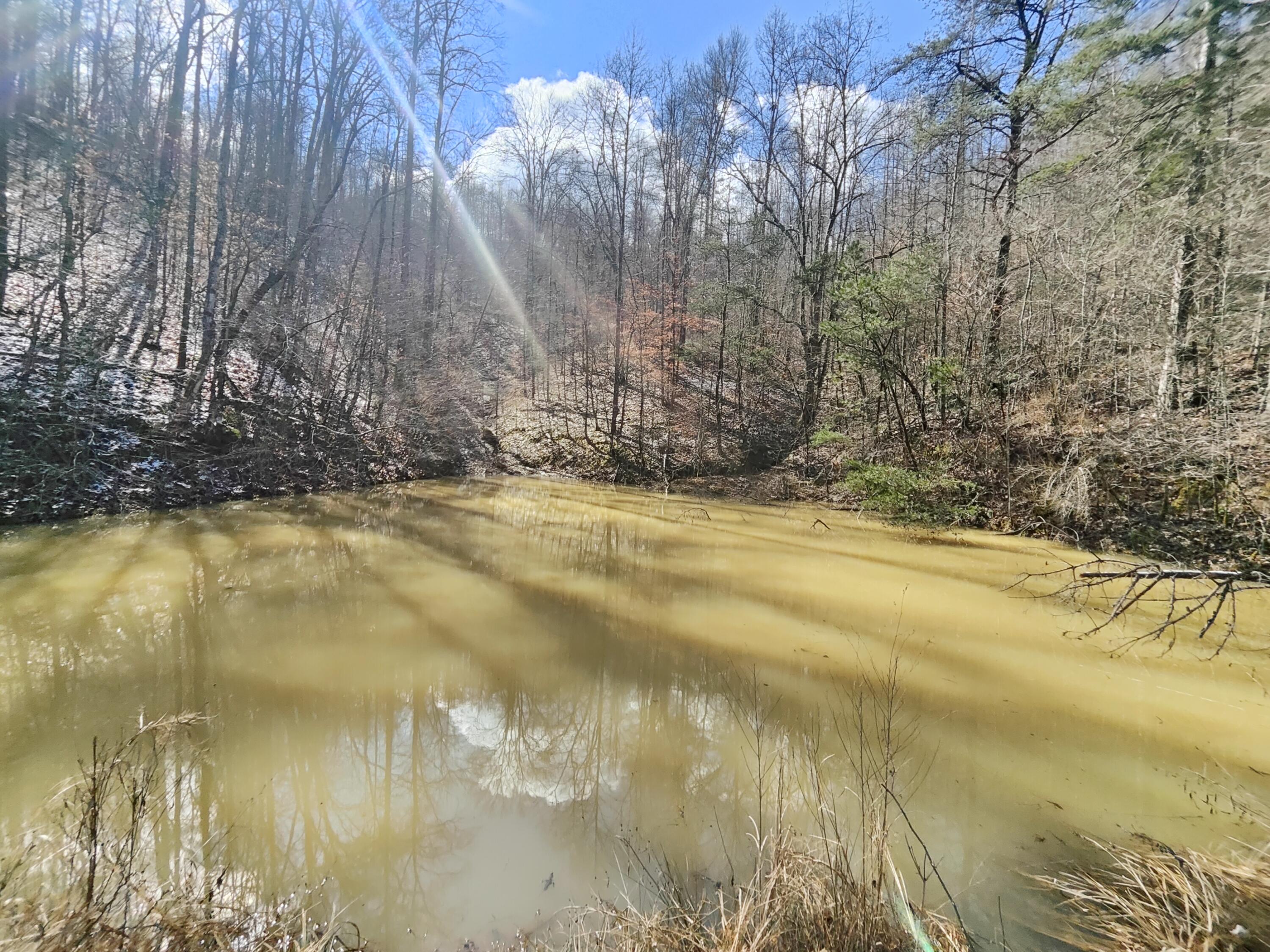 2006 Reed Branch Road Manchester, KY 40962 - Photo 4 of 53 large pond