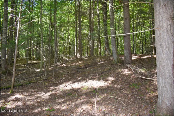 $68,900 | 72 Carriage Knoll Road, Chestertown, NY 12817