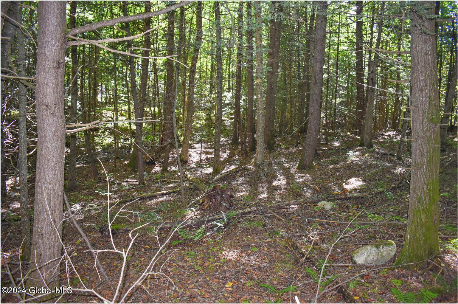 72 Carriage Knoll Road Chestertown, NY 12817 - Photo 12 of 23 72i