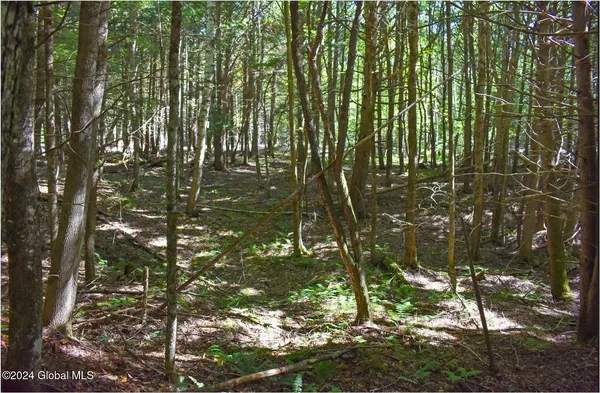 $68,900 | 72 Carriage Knoll Road, Chestertown, NY 12817