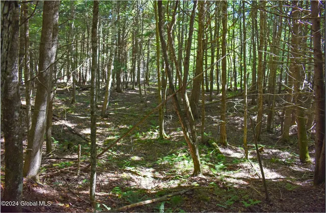 $68,900 | 72 Carriage Knoll Road, Chestertown, NY 12817