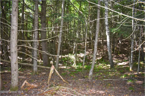 $68,900 | 72 Carriage Knoll Road, Chestertown, NY 12817