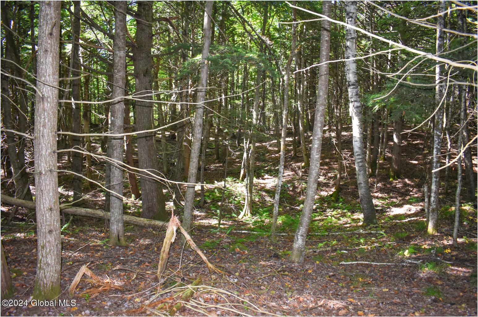 72 Carriage Knoll Road Chestertown, NY 12817 - Photo 14 of 23 72d