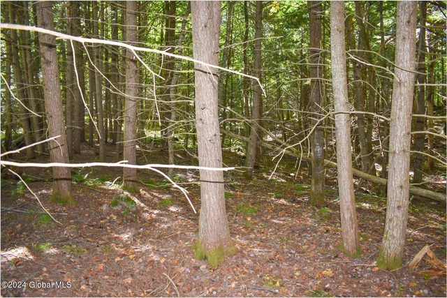 $68,900 | 72 Carriage Knoll Road, Chestertown, NY 12817