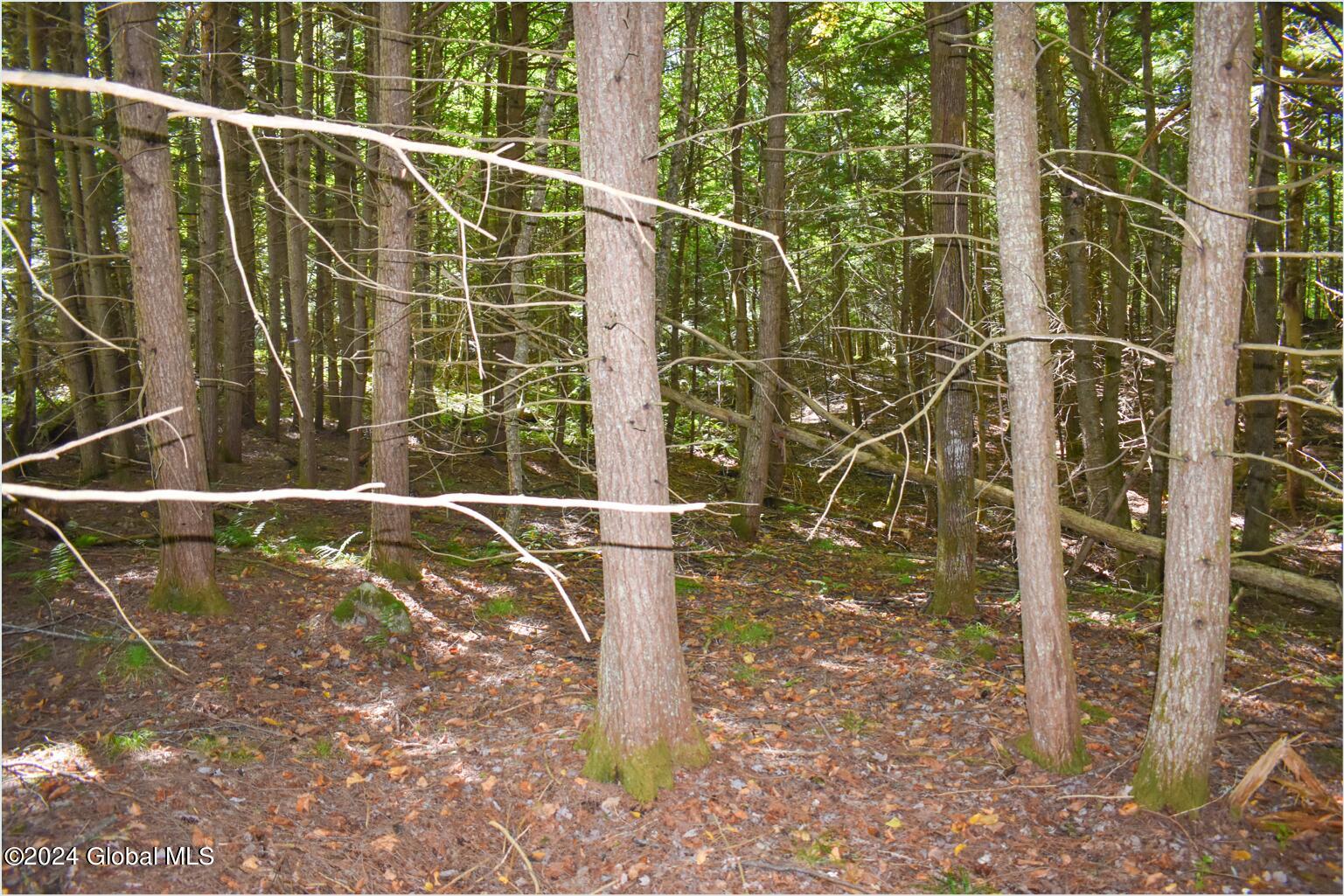 72 Carriage Knoll Road Chestertown, NY 12817 - Photo 15 of 23 72e