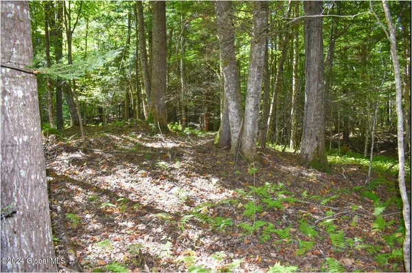 $68,900 | 72 Carriage Knoll Road, Chestertown, NY 12817