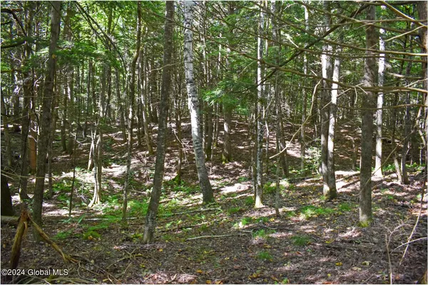 $68,900 | 72 Carriage Knoll Road, Chestertown, NY 12817