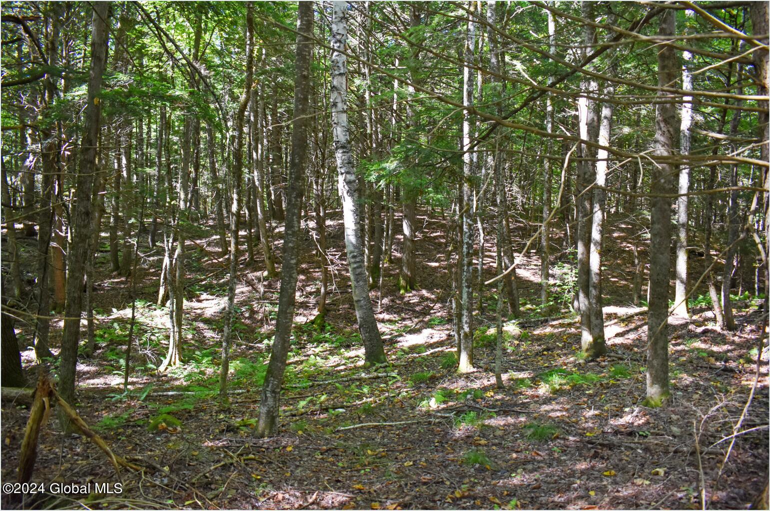 72 Carriage Knoll Road Chestertown, NY 12817 - Photo 17 of 23 72c