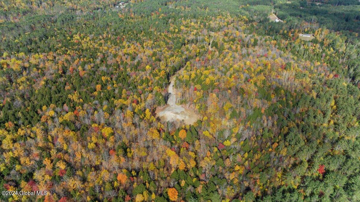 72 Carriage Knoll Road Chestertown, NY 12817 - Photo 20 of 23 09-DJI_0246