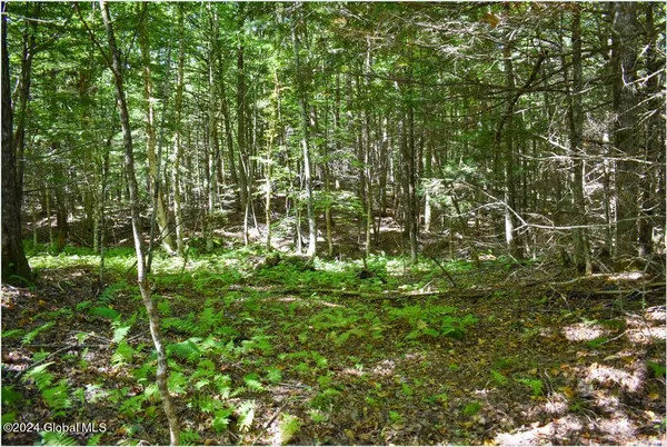 $68,900 | 72 Carriage Knoll Road, Chestertown, NY 12817