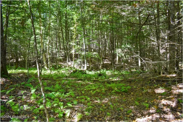 $68,900 | 72 Carriage Knoll Road, Chestertown, NY 12817