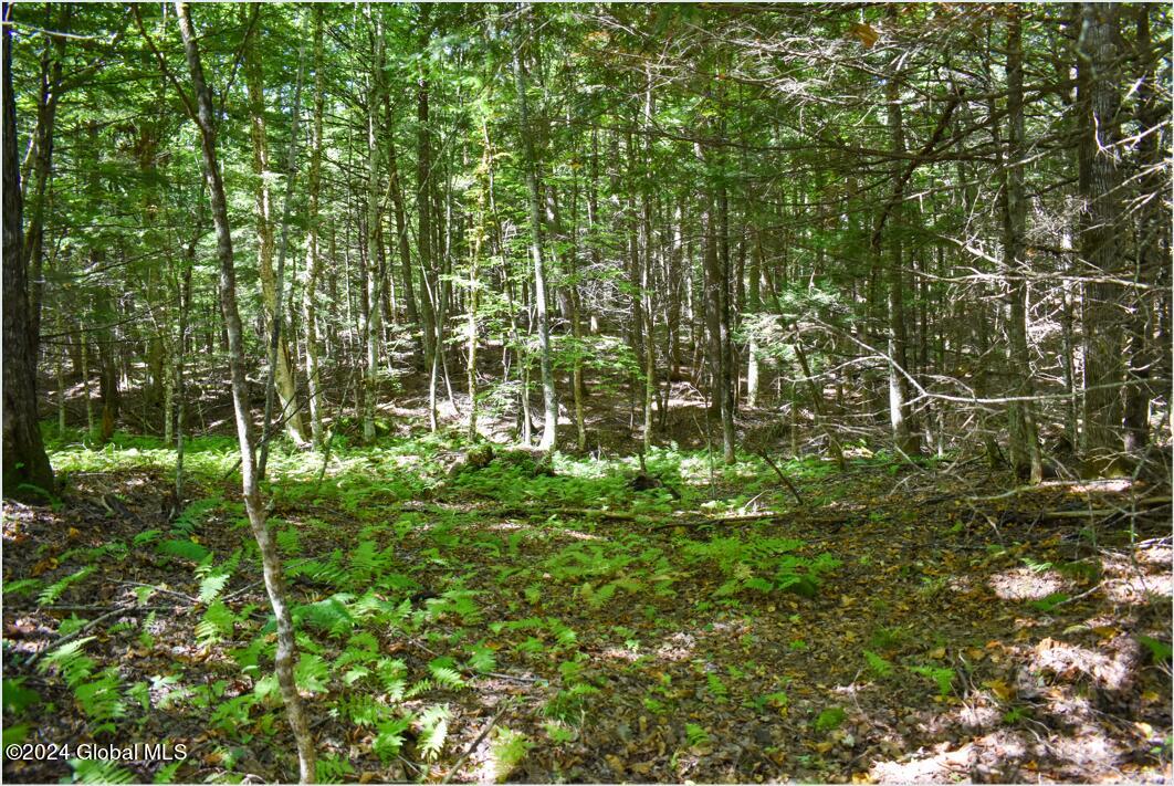 72 Carriage Knoll Road Chestertown, NY 12817 - Photo 7 of 23 Pic