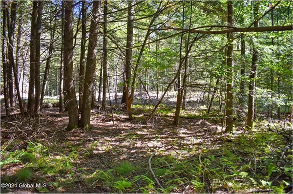 $68,900 | 72 Carriage Knoll Road, Chestertown, NY 12817