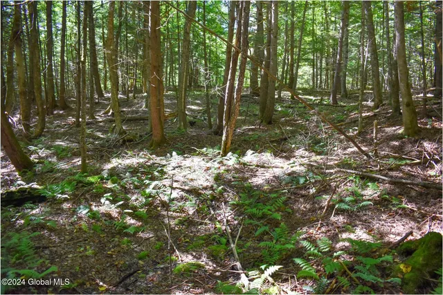 $68,900 | 72 Carriage Knoll Road, Chestertown, NY 12817