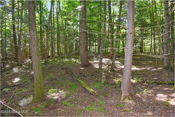 $68,900 | 72 Carriage Knoll Road, Chestertown, NY 12817