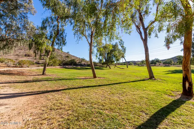 a view of a yard with an trees