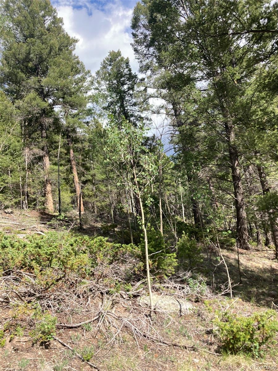 Lot 6461 Jacquez Road San Luis, CO 81152 - Photo 19 of 22