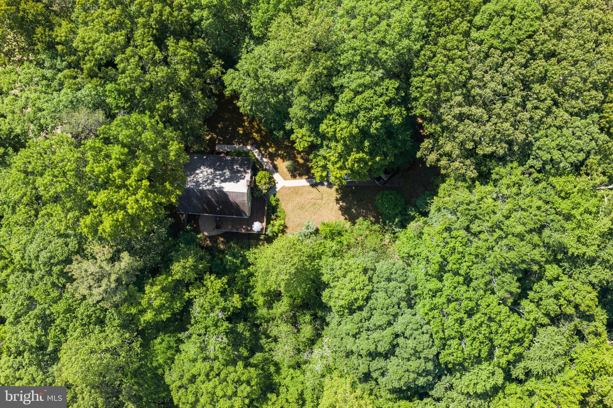 4631 Nomini Hall Road Hague, VA 22469 - Photo 16 of 62