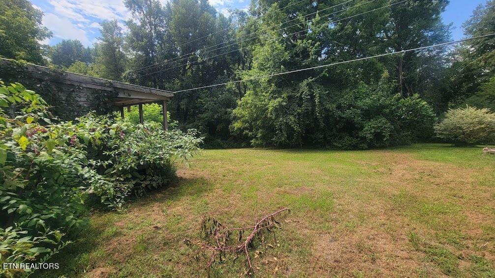 264 Corolla Road Sparta, TN 38583 - Photo 13 of 14 unnamed (10)