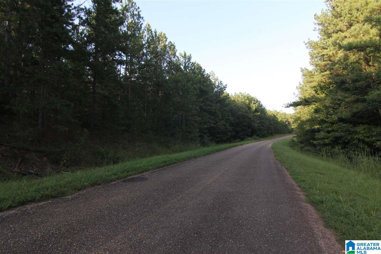 632 County Road, Unit 19 64 Roanoke, AL 36274 - Photo 4 of 8
