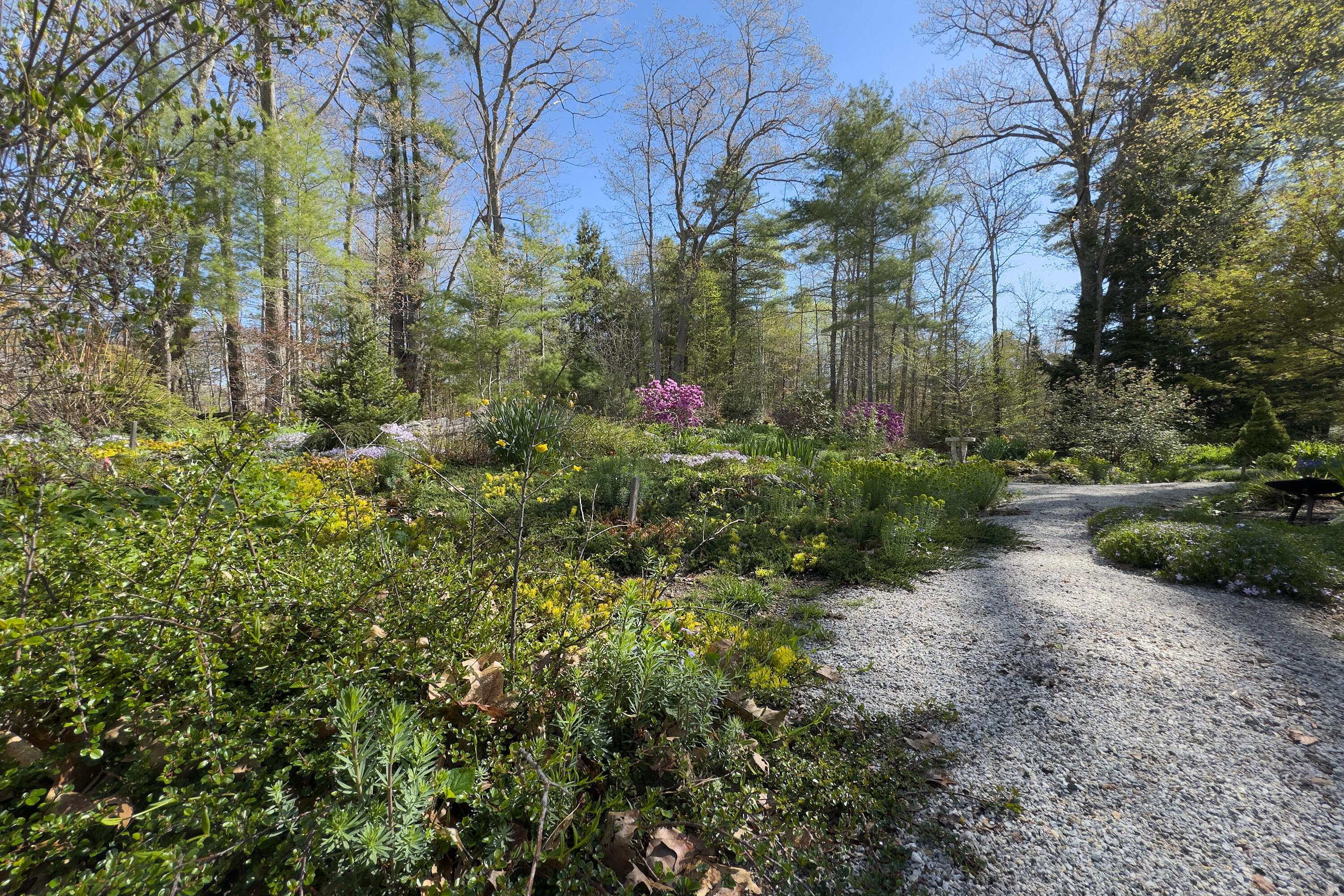 21 Nobleboro Woods Road Nobleboro, ME 04555 - Photo 49 of 63 58- 21 Nobleboro Woods Rd-Nobleboro - JA