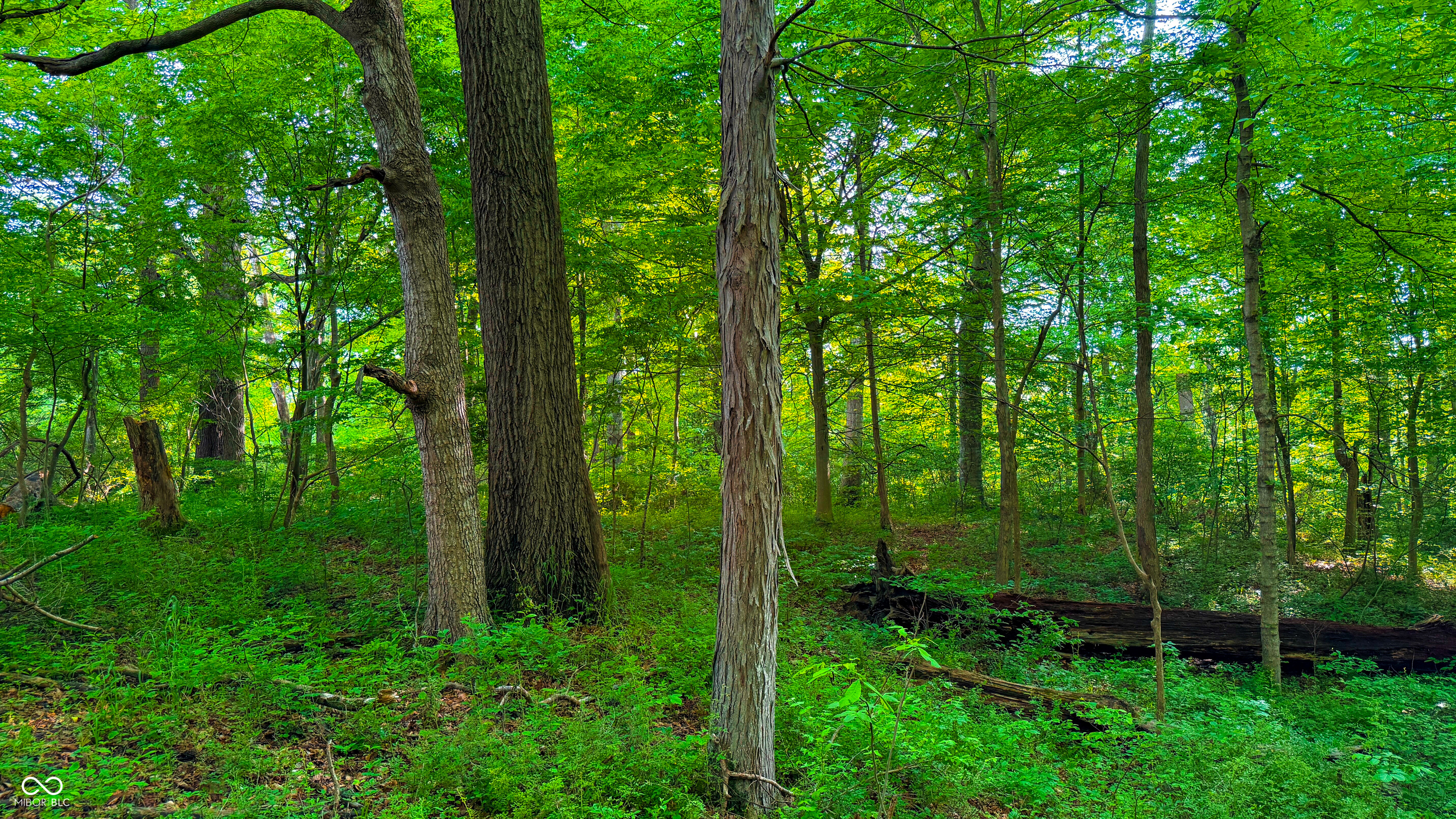 0 Oak Ridge Road Morgantown, IN 46160 - Photo 11 of 35 Gallery Image 11