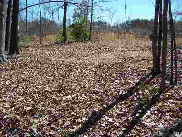 407-409 Shelor Ferry Road Fair Play, SC 29643 - Photo 2 of 3 Gallery Image 2