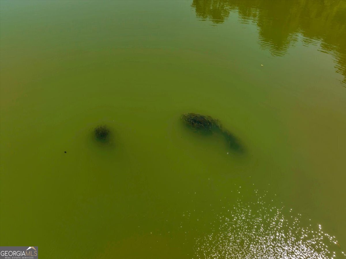 655 McDonough Road Hampton, GA 30228 - Photo 114 of 120