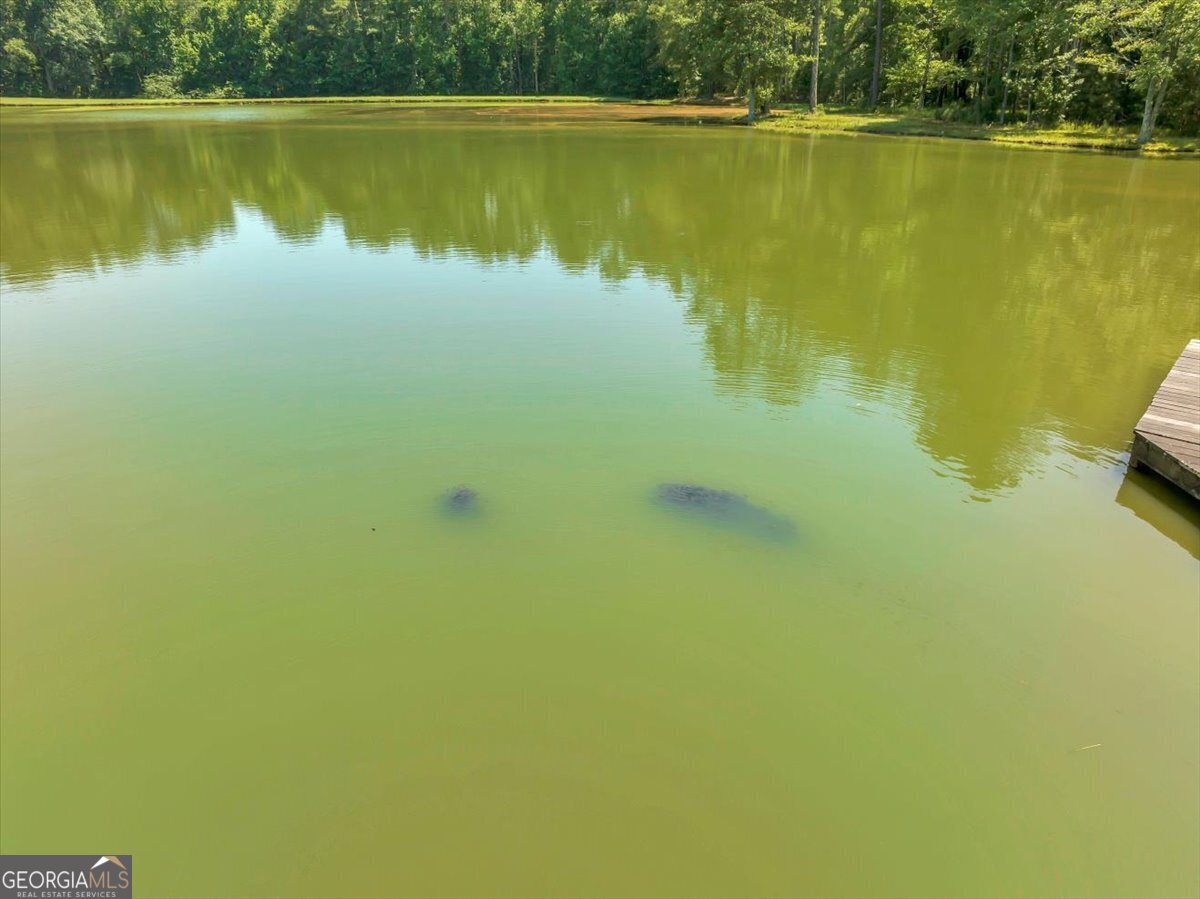 655 McDonough Road Hampton, GA 30228 - Photo 115 of 120